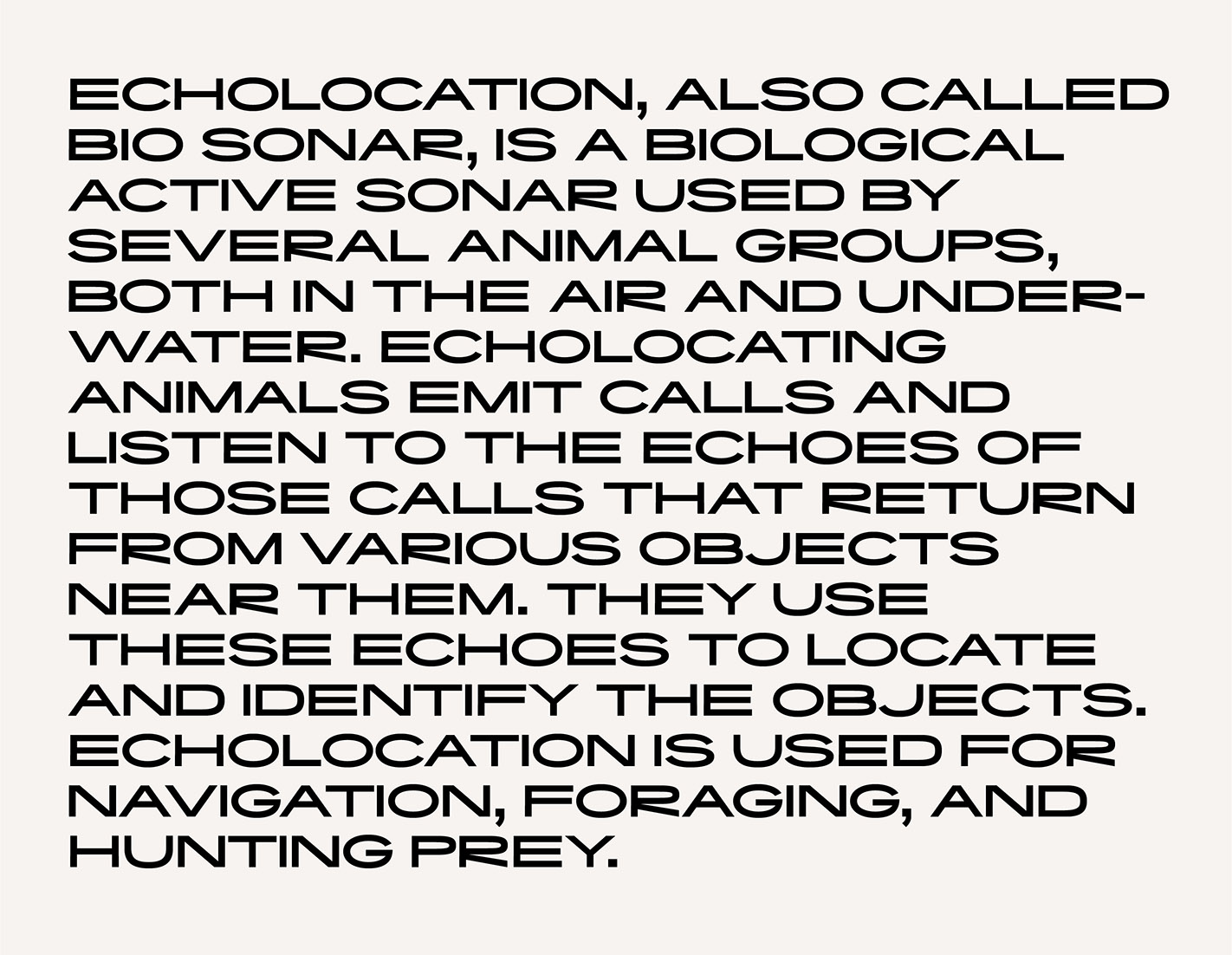 Echo Extended